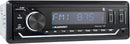 Blaupunkt DAYTONA140 SDin Mechless Receiver (USB / AUX / SD / Bluetooth)