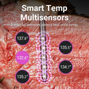 Traeger Meater Pro Wireless Thermometer - Silver