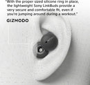 Sony LinkBuds Open-Ear True Wireless Earbuds