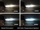 D4C Xenon HID Headlight Bulbs Set (2 Pieces) - Bass Electronics